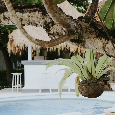 Oasis Boutique Villas-3